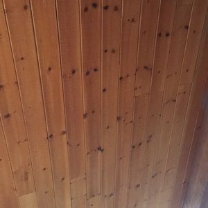 Meet your Posher, Dylan